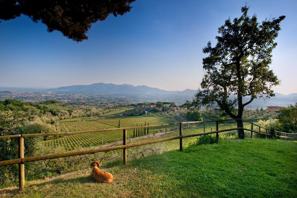 Villa Lean Valgiano ภายนอก รูปภาพ